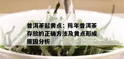 普洱茶起黄点：陈年普洱茶存放的正确方法及黄点形成原因分析