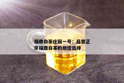 福鼎白茶庄园一号：品尝正宗福鼎白茶的绝佳选择