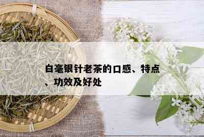 白毫银针老茶的口感、特点、功效及好处