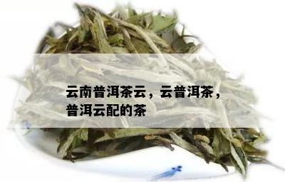 云南普洱茶云，云普洱茶，普洱云配的茶