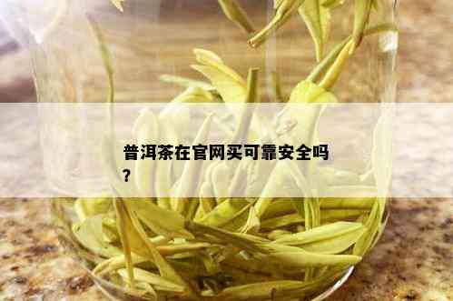 普洱茶在官网买可靠安全吗？