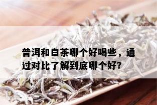 普洱和白茶哪个好喝些，通过对比了解到底哪个好？