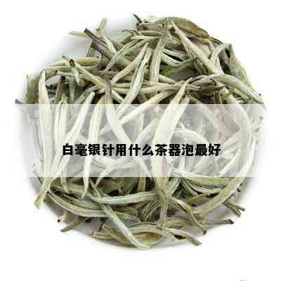 白毫银针用什么茶器泡更好