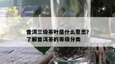 普洱三级茶叶是什么意思？了解普洱茶的等级分类