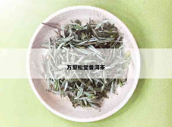 万壑松堂普洱茶