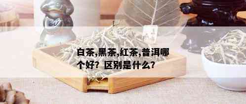 白茶,黑茶,红茶,普洱哪个好？区别是什么？