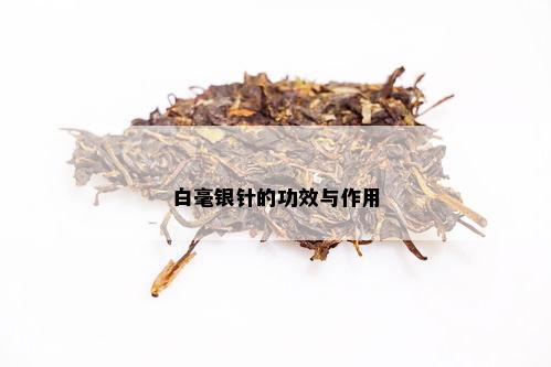 白毫银针的功效与作用