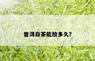 普洱白茶能放多久？