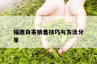 福鼎白茶销售技巧与方法分享