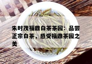 朱时茂福鼎白茶茶园：品尝正宗白茶，感受福鼎茶园之美