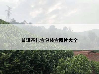 普洱茶礼盒包装盒图片大全