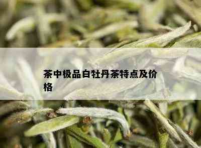 茶中极品白牡丹茶特点及价格