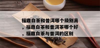 福鼎白茶和普洱哪个级别高，福鼎白茶和普洱茶哪个好，福鼎白茶与普洱的区别