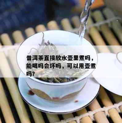 普洱茶直接放水壶里煮吗，能喝吗会坏吗，可以用壶煮吗？