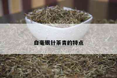 白毫银针茶青的特点