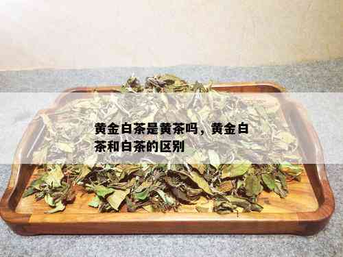 黄金白茶是黄茶吗，黄金白茶和白茶的区别