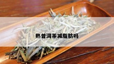 熟普洱茶减脂肪吗