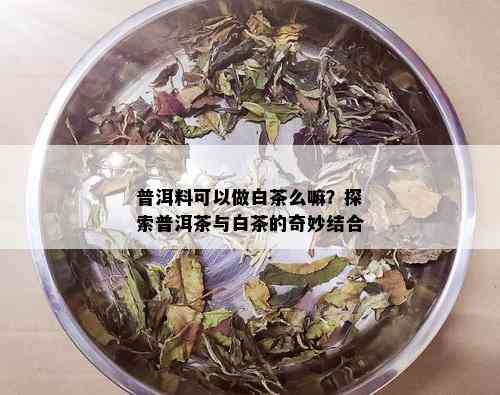 普洱料可以做白茶么嘛？探索普洱茶与白茶的奇妙结合