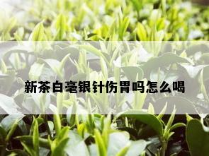 新茶白毫银针伤胃吗怎么喝