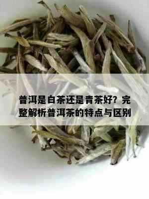 普洱是白茶还是青茶好？完整解析普洱茶的特点与区别