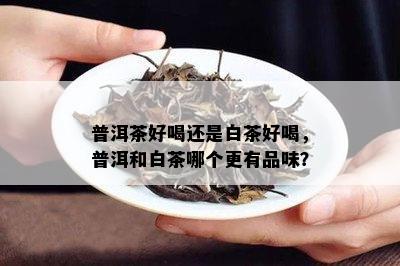 普洱茶好喝还是白茶好喝，普洱和白茶哪个更有品味？