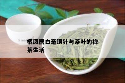 栖凤居白毫银针与茶叶的禅茶生活