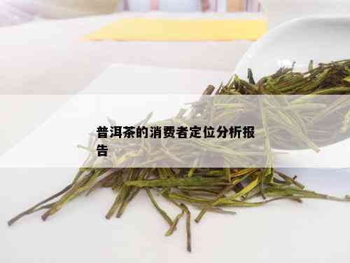 普洱茶的消费者定位分析报告