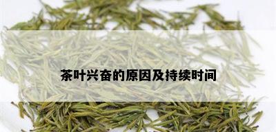 茶叶兴奋的原因及持续时间