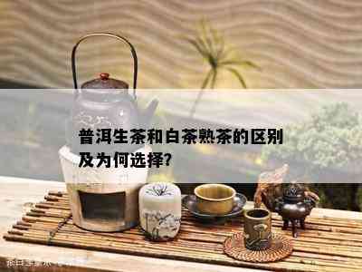 普洱生茶和白茶熟茶的区别及为何选择？