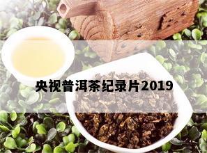 央视普洱茶纪录片2019