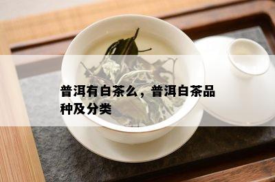 普洱有白茶么，普洱白茶品种及分类