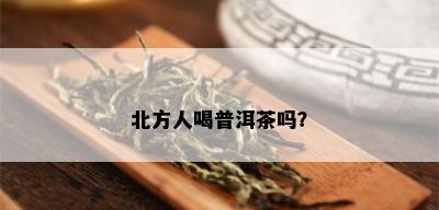 北方人喝普洱茶吗？