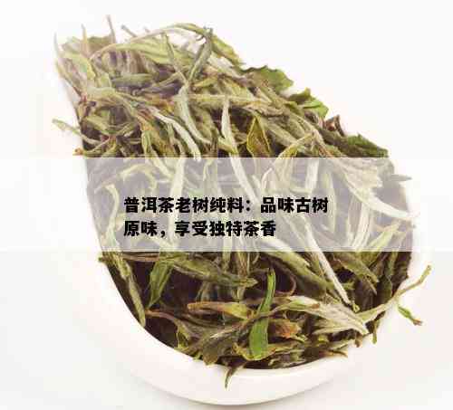 普洱茶老树纯料：品味古树原味，享受独特茶香