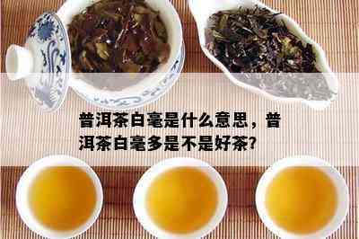 普洱茶白毫是什么意思，普洱茶白毫多是不是好茶？