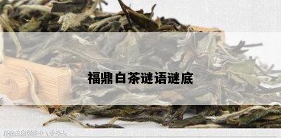 福鼎白茶谜语谜底