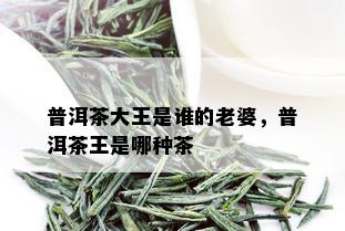 普洱茶大王是谁的老婆，普洱茶王是哪种茶