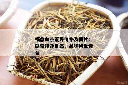 福鼎白茶荒野价格及图片：探索纯净自然，品味稀世佳茗