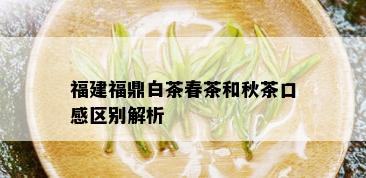 福建福鼎白茶春茶和秋茶口感区别解析