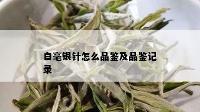 白毫银针怎么品鉴及品鉴记录