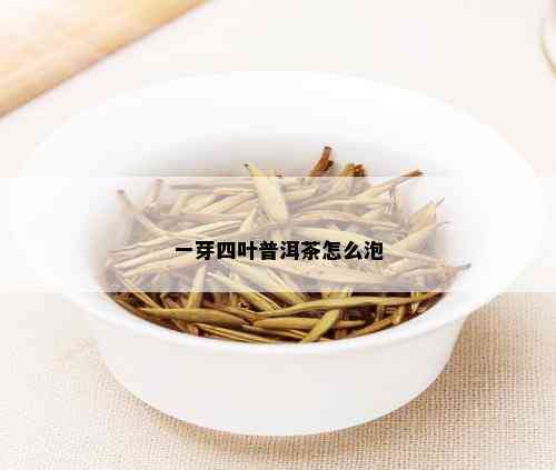 一芽四叶普洱茶怎么泡