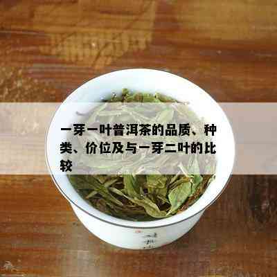 一芽一叶普洱茶的品质、种类、价位及与一芽二叶的比较