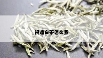 福鼎白茶怎么煮