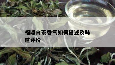 福鼎白茶香气如何描述及味道评价