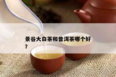 景谷大白茶和普洱茶哪个好？