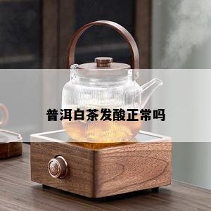 普洱白茶发酸正常吗