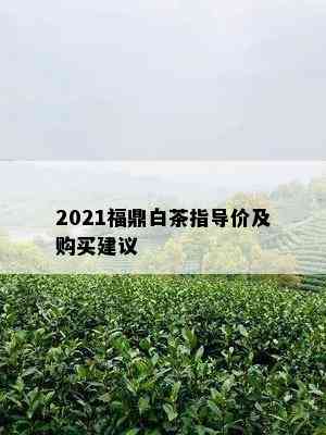 2021福鼎白茶指导价及购买建议