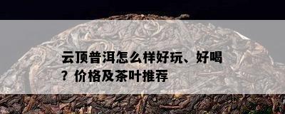 云顶普洱怎么样好玩、好喝？价格及茶叶推荐