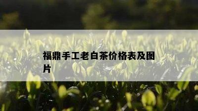 福鼎手工老白茶价格表及图片