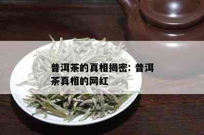 普洱茶的真相揭密: 普洱茶真相的网红