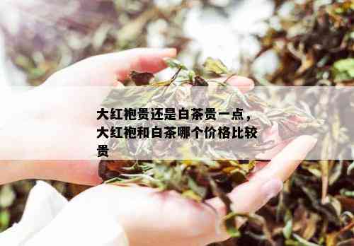 大红袍贵还是白茶贵一点，大红袍和白茶哪个价格比较贵